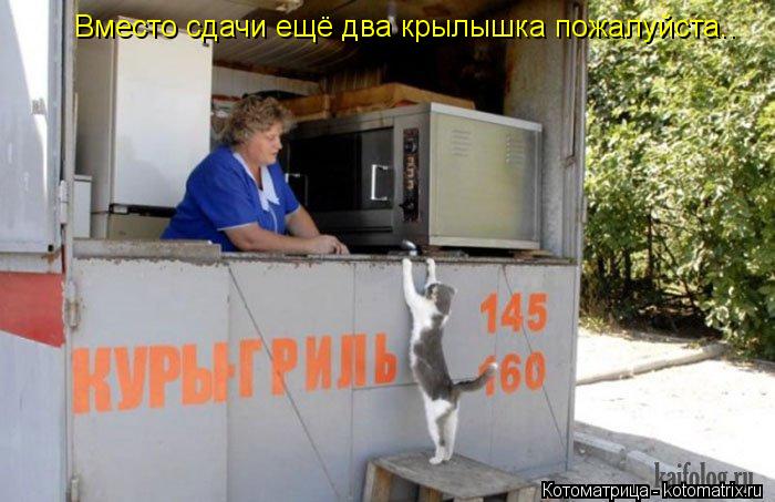 Вместо сдачи ещё два крылышка пожалуйста..... Котоматрица: Вместо сдачи ещё два крылышка пожалуйста..
