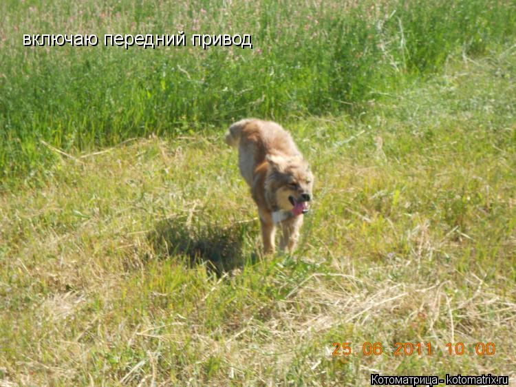включаю передний привод... Котоматрица: включаю передний привод