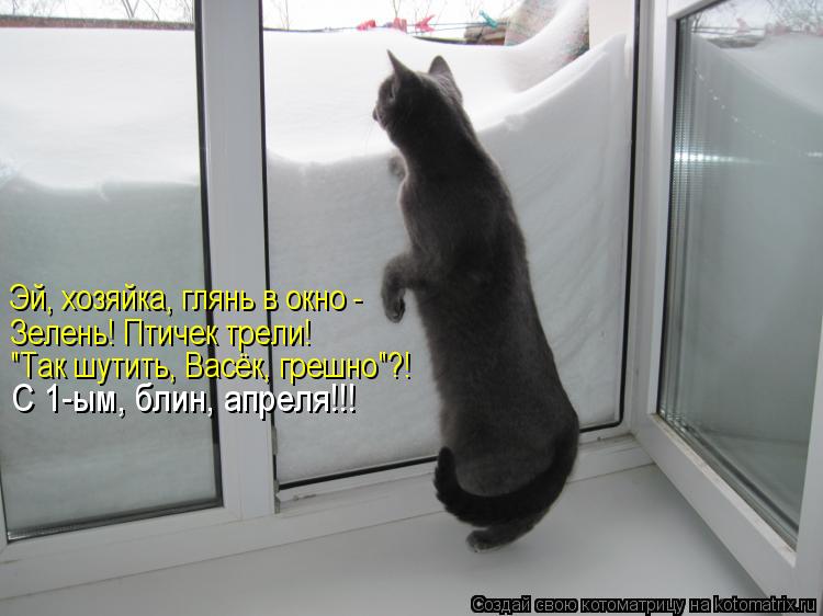 Эй, хозяйка, глянь в окно - Зелень! Птичек трели! "Так шутить, Васёк, грешно"?! С 1-ым, блин, апреля... Котоматрица: Эй, хозяйка, глянь в окно - Зелень! Птичек трели! "Так шутить, Васёк, грешно"?! С 1-ым, блин, апреля!!!