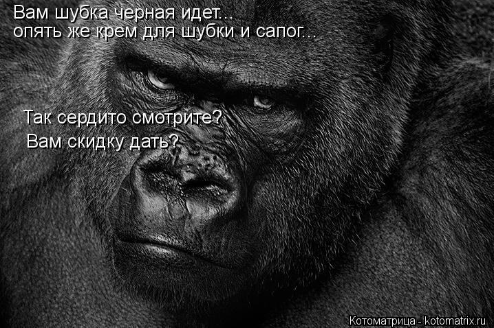 Вам шубка черная идет... опять же крем для шубки и сапог... Так сердито смотрите? Вам скидку дать?... Котоматрица: Вам шубка черная идет... опять же крем для шубки и сапог... Так сердито смотрите? Вам скидку дать?