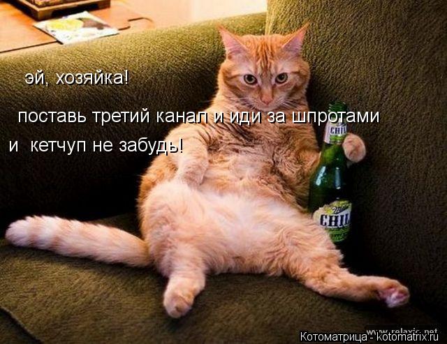эй, хозяйка! поставь третий канал и иди за шпротами и кетчуп не забудь!... Котоматрица: эй, хозяйка! поставь третий канал и иди за шпротами и кетчуп не забудь!