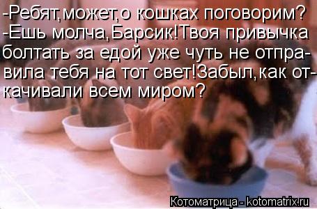 -Ребят,может,о кошках поговорим? -Ешь молча,Барсик!Твоя привычка болтать за едой уже чуть не отпра- в... Котоматрица: -Ребят,может,о кошках поговорим? -Ешь молча,Барсик!Твоя привычка болтать за едой уже чуть не отпра- вила тебя на тот свет!Забыл,как от- качива