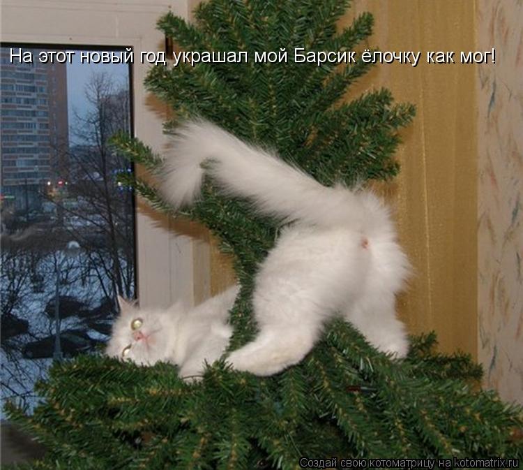 На этот новый год украшал мой Барсик ёлочку как мог!... Котоматрица: На этот новый год украшал мой Барсик ёлочку как мог!