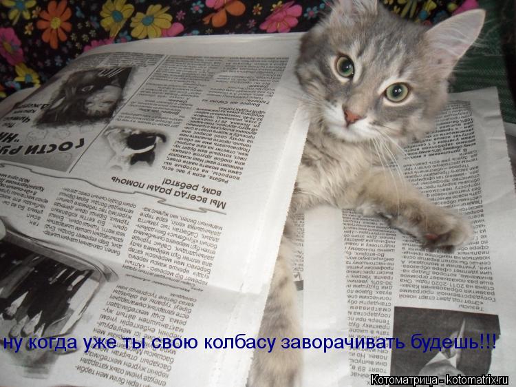 ну когда уже ты свою колбасу заворачивать будешь!!!... Котоматрица: ну когда уже ты свою колбасу заворачивать будешь!!!