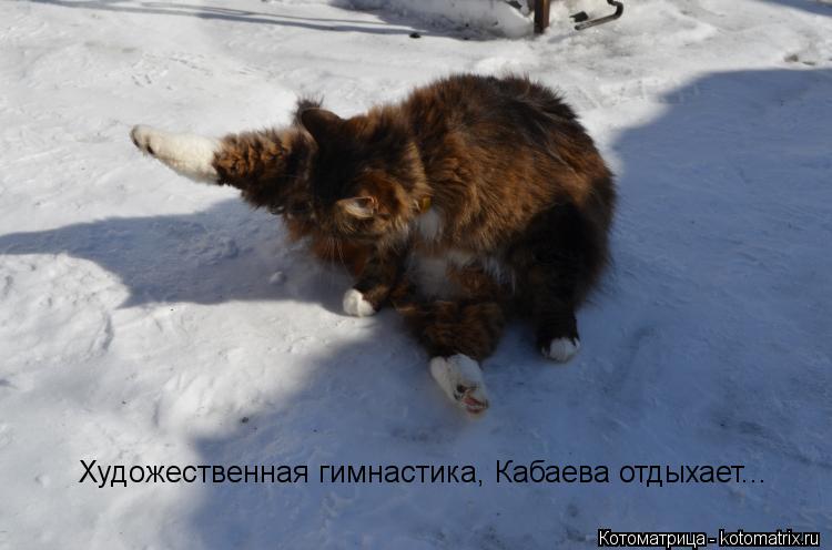 Художественная гимнастика, Кабаева отдыхает...... Котоматрица: Художественная гимнастика, Кабаева отдыхает...