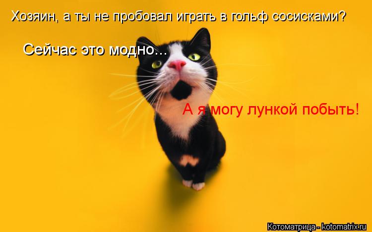 Хозяин, а ты не пробовал играть в гольф сосисками? Сейчас это модно... А я могу лункой побыть!... Котоматрица: Хозяин, а ты не пробовал играть в гольф сосисками? Сейчас это модно... А я могу лункой побыть!