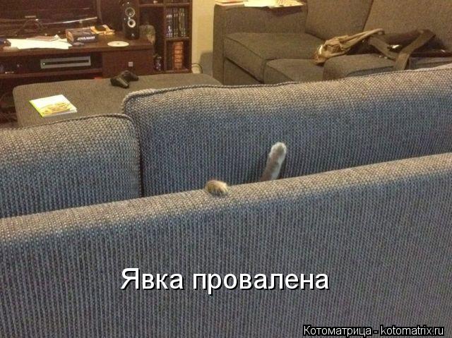 Явка провалена... Котоматрица: Явка провалена