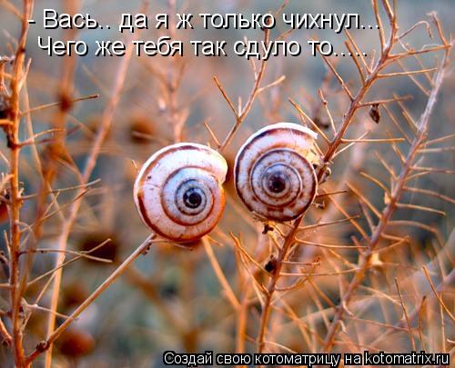 - Вась.. да я ж только чихнул... Чего же тебя так сдуло то........ Котоматрица: - Вась.. да я ж только чихнул... Чего же тебя так сдуло то.....