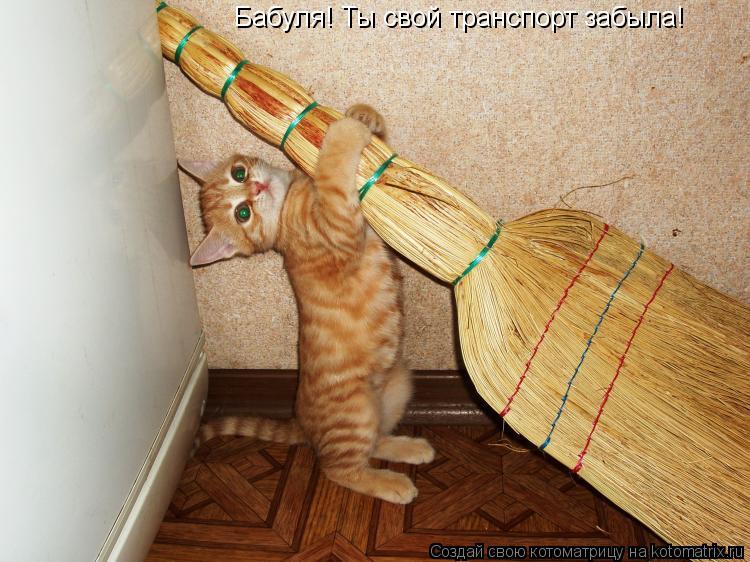 Бабуля! Ты свой транспорт забыла!... Котоматрица: Бабуля! Ты свой транспорт забыла!