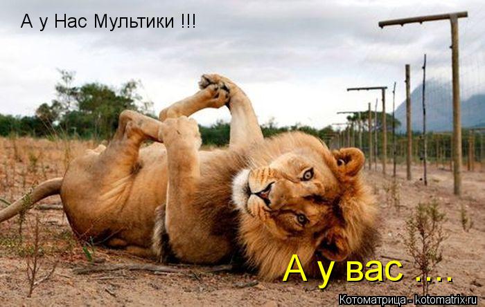 А у Нас Мультики !!! А у вас ....... Котоматрица: А у Нас Мультики !!! А у вас ....