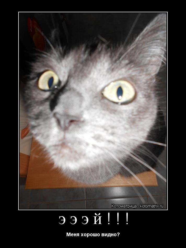 эээй!!! Меня хорошо видно?... Котоматрица: эээй!!! Меня хорошо видно?