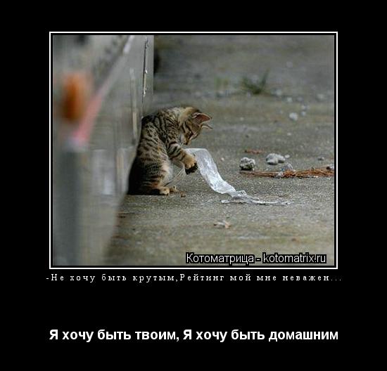 -Не хочу быть крутым,Рейтинг мой мне неважен... Я хочу быть твоим, Я хочу быть домашним... Котоматрица: -Не хочу быть крутым,Рейтинг мой мне неважен... Я хочу быть твоим, Я хочу быть домашним