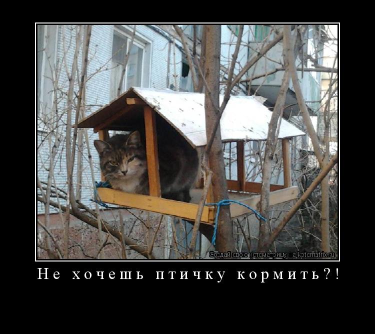 Не хочешь птичку кормить?! ... Котоматрица: Не хочешь птичку кормить?!