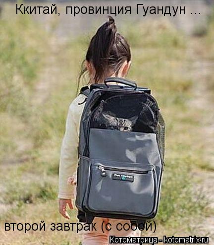 Ккитай, провинция Гуандун ... второй завтрак (с собой)... Котоматрица: Ккитай, провинция Гуандун ... второй завтрак (с собой)