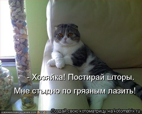 Котоматрица: - Хозяйка! Постирай шторы. Мне стыдно по грязным лазить!