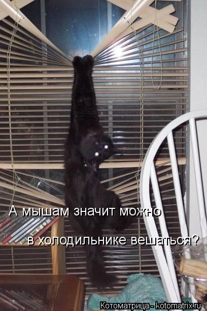 А мышам значит можно в холодильнике вешаться?... Котоматрица: А мышам значит можно в холодильнике вешаться?