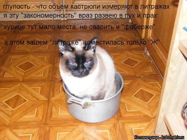 глупость - что объем кастрюли измеряют в литражах я эту "закономерность" враз развею в пух и прах: ку... Котоматрица: глупость - что объем кастрюли измеряют в литражах я эту "закономерность" враз развею в пух и прах: курице тут мало места, не сварить и "фаберж