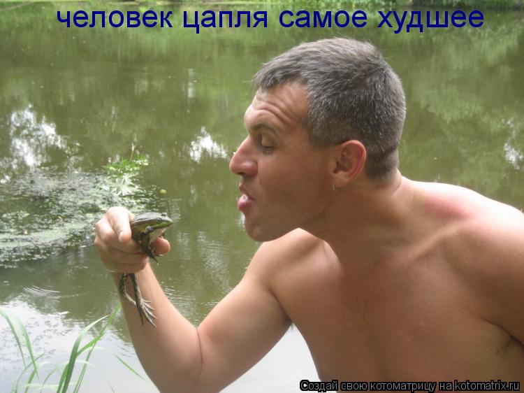 человек цапля самое худшее... Котоматрица: человек цапля самое худшее