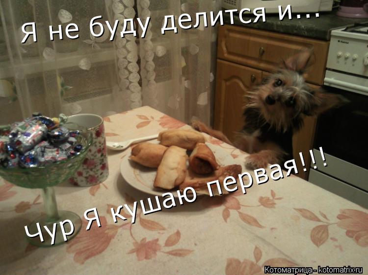 Чур Я кушаю первая!!! Я не буду делится и...... Котоматрица: Чур Я кушаю первая!!! Я не буду делится и...