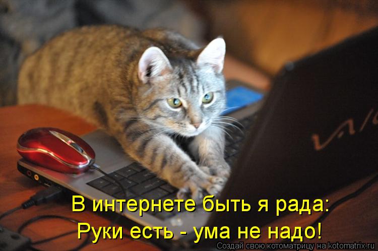 В интернете быть я рада: Руки есть - ума не надо!... Котоматрица: В интернете быть я рада: Руки есть - ума не надо!
