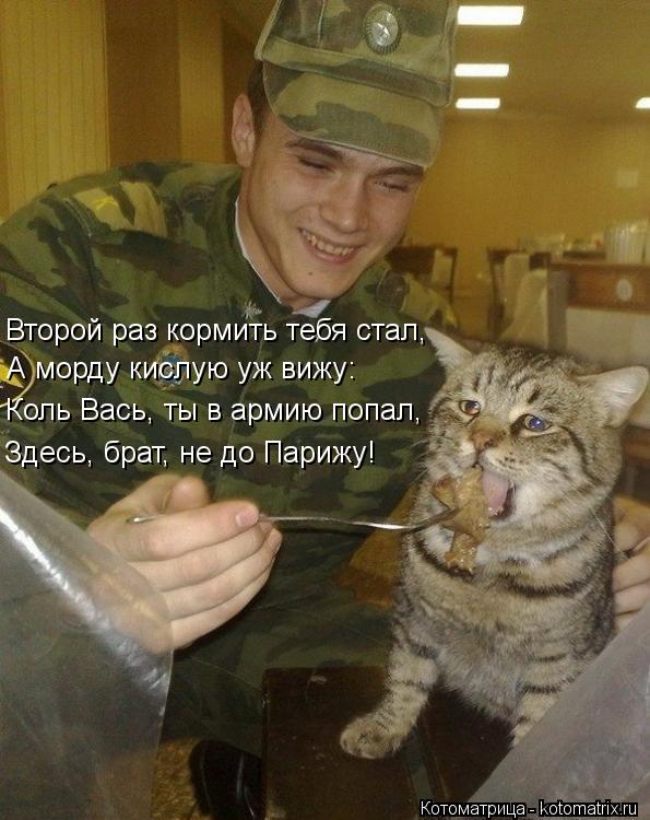 Второй раз кормить тебя стал, А морду кислую уж вижу: Коль Вась, ты в армию попал, Здесь, брат, не ... Котоматрица: Второй раз кормить тебя стал, А морду кислую уж вижу: Коль Вась, ты в армию попал, Здесь, брат, не до Парижу!