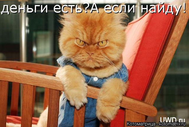 деньги есть?А если найду!!!... Котоматрица: деньги есть?А если найду!!!