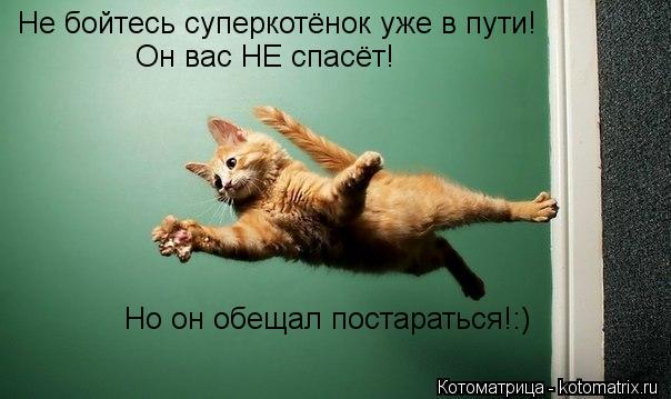 Не бойтесь суперкотёнок уже в пути! Он вас НЕ спасёт! Но он обещал постараться!:)... Котоматрица: Не бойтесь суперкотёнок уже в пути! Он вас НЕ спасёт! Но он обещал постараться!:)