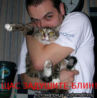 ЩАС ЗАДУШИТЕ БЛИН!... Котоматрица: ЩАС ЗАДУШИТЕ БЛИН!