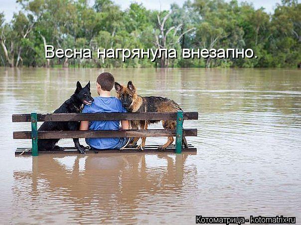 Весна нагрянула внезапно.... Котоматрица: Весна нагрянула внезапно.
