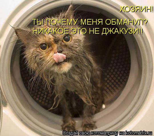 ХОЗЯИН! ТЫ ПОЧЕМУ МЕНЯ ОБМАНУЛ? ТЫ ПОЧЕМУ МЕНЯ ОБМАНУЛ? НИКАКОЕ ЭТО НЕ ДЖАКУЗИ!!... Котоматрица: ХОЗЯИН! ТЫ ПОЧЕМУ МЕНЯ ОБМАНУЛ? ТЫ ПОЧЕМУ МЕНЯ ОБМАНУЛ? НИКАКОЕ ЭТО НЕ ДЖАКУЗИ!!