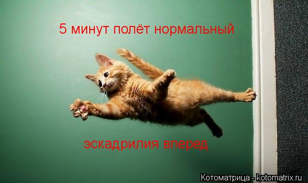 5 минут полёт нормальный эскадрилия вперед эскадрилия вперед... Котоматрица: 5 минут полёт нормальный эскадрилия вперед эскадрилия вперед