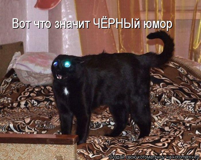 Вот что значит ЧЁРНЫй юмор... Котоматрица: Вот что значит ЧЁРНЫй юмор