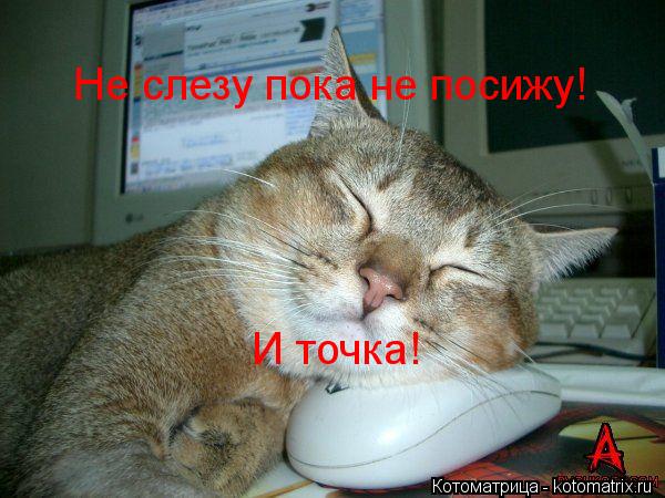 Не слезу пока не посижу! И точка!... Котоматрица: Не слезу пока не посижу! И точка!