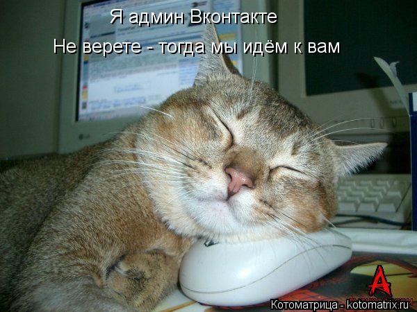 Котоматрица: Я админ Вконтакте Не верете - тогда мы идём к вам