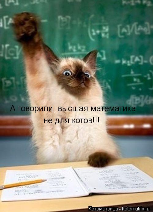 Котоматрица: А говорили, высшая математика не для котов!!!