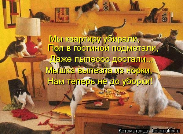 Мы квартиру убирали, Даже пылесос достали... Мышка вылезла из норки, Нам теперь не до уборки! Пол в г... Котоматрица: Мы квартиру убирали, Даже пылесос достали... Мышка вылезла из норки, Нам теперь не до уборки! Пол в гостиной подметали,