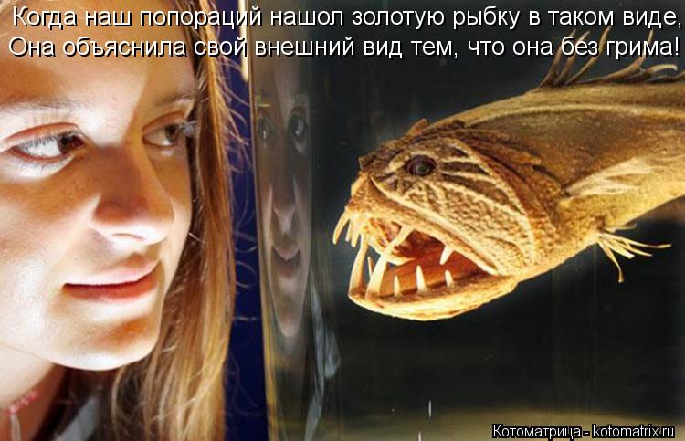 Котоматрица: Когда наш попораций нашол золотую рыбку в таком виде, Она объяснила свой внешний вид тем, что она без грима!