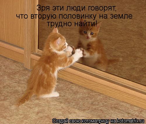 Зря эти люди говорят, что вторую половинку на земле трудно найти!... Котоматрица: Зря эти люди говорят, что вторую половинку на земле трудно найти!