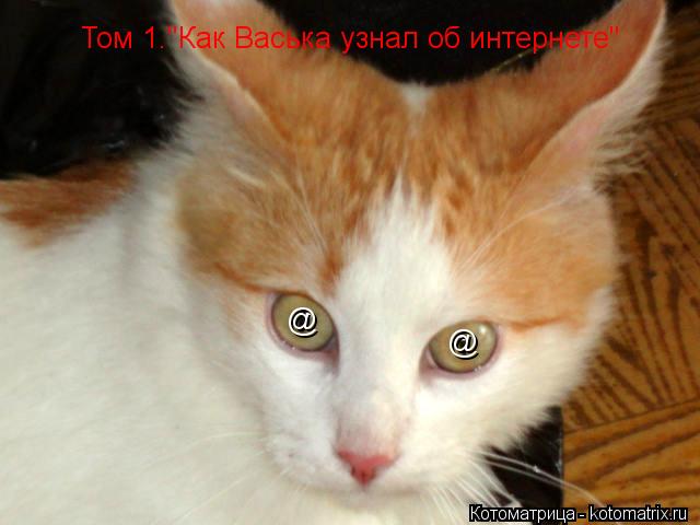 @ @ Том 1."Как Васька узнал об интернете"... Котоматрица: @ @ Том 1."Как Васька узнал об интернете"