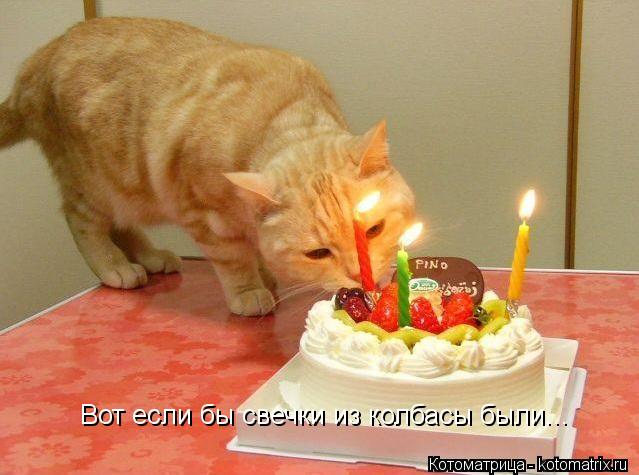 Вот если бы свечки из колбасы были...... Котоматрица: Вот если бы свечки из колбасы были...
