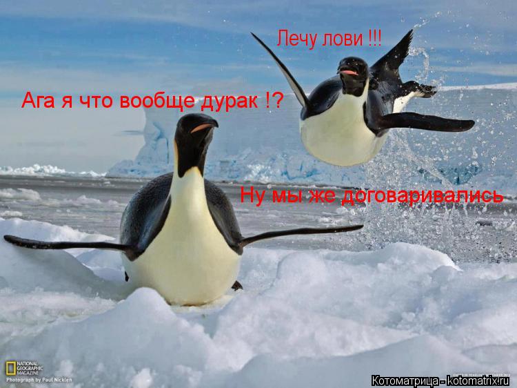 Лечу лови !!! Ага я что вообще дурак !? Ну мы же договаривались... Котоматрица: Лечу лови !!! Ага я что вообще дурак !? Ну мы же договаривались