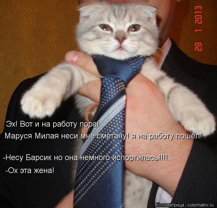 Эх! Вот и на работу пора! Маруся Милая неси мне сметану! я на работу пошёл! -Несу Барсик но она нем... Котоматрица: Эх! Вот и на работу пора! Маруся Милая неси мне сметану! я на работу пошёл! -Несу Барсик но она немного испортилась!!!! -Ох эта жена!