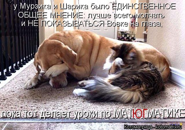 у Мурзика и Шарика было ЕДИНСТВЕННОЕ ОБЩЕЕ МНЕНИЕ: лучше всего молчать и НЕ ПОКАЗЫВАТЬСЯ Вовке на гла... Котоматрица: у Мурзика и Шарика было ЕДИНСТВЕННОЕ ОБЩЕЕ МНЕНИЕ: лучше всего молчать и НЕ ПОКАЗЫВАТЬСЯ Вовке на глаза, пока тот делает уроки по МАТ МАТИ