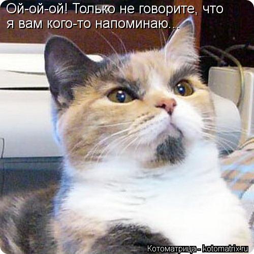 Ой-ой-ой! Только не говорите, что я вам кого-то напоминаю...... Котоматрица: Ой-ой-ой! Только не говорите, что я вам кого-то напоминаю...