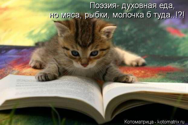 Поэзия- духовная еда, но мяса, рыбки, молочка б туда..!?!... Котоматрица: Поэзия- духовная еда, но мяса, рыбки, молочка б туда..!?!