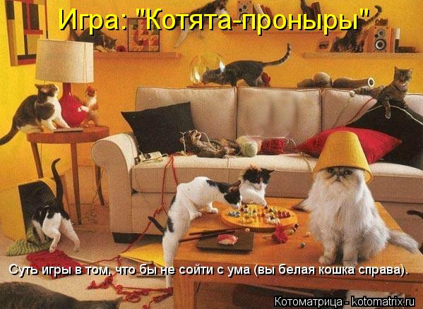 Игра: "Котята-проныры" Суть игры в том, что бы не сойти с ума (вы белая кошка справа).... Котоматрица: Игра: "Котята-проныры" Суть игры в том, что бы не сойти с ума (вы белая кошка справа).