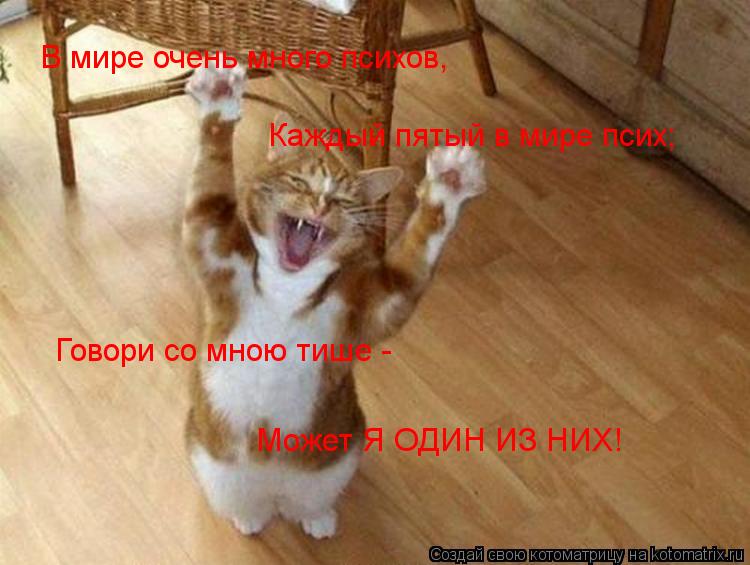 В мире очень много психов, Каждый пятый в мире псих; Говори со мною тише - Может Я ОДИН ИЗ НИХ!... Котоматрица: В мире очень много психов, Каждый пятый в мире псих; Говори со мною тише - Может Я ОДИН ИЗ НИХ!