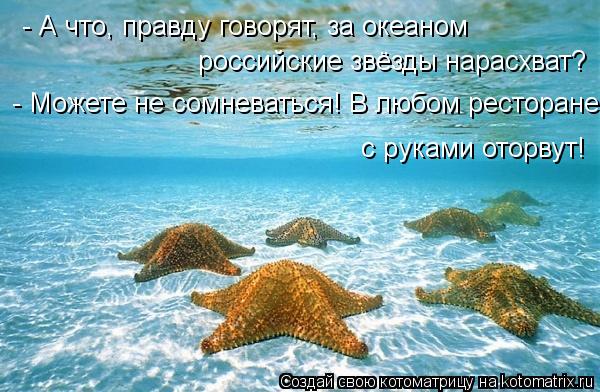 - Можете не сомневаться! В любом ресторане с руками оторвут! - А что, правду говорят, за океаном росс... Котоматрица: - Можете не сомневаться! В любом ресторане с руками оторвут! - А что, правду говорят, за океаном российские звёзды нарасхват?