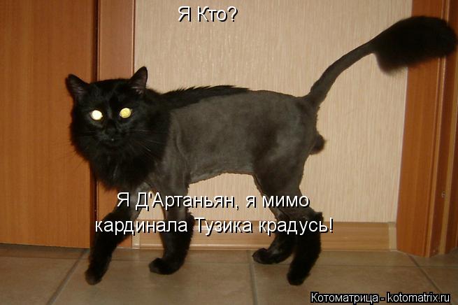 кардинала Тузика крадусь! Я Д'Артаньян, я мимо Я Кто?... Котоматрица: кардинала Тузика крадусь! Я Д'Артаньян, я мимо Я Кто?