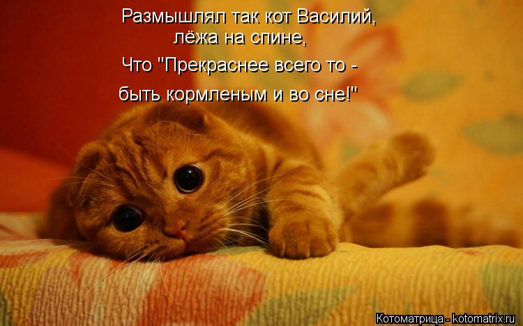 Размышлял так кот Василий, лёжа на спине, Что "Прекраснее всего то - быть кормленым и во сне!"... Котоматрица: Размышлял так кот Василий, лёжа на спине, Что "Прекраснее всего то - быть кормленым и во сне!"